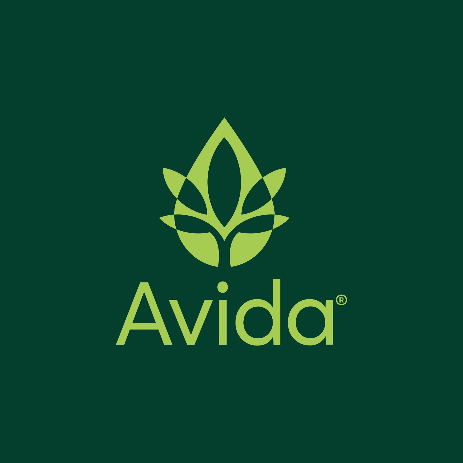 Logo principal AVIDA MT